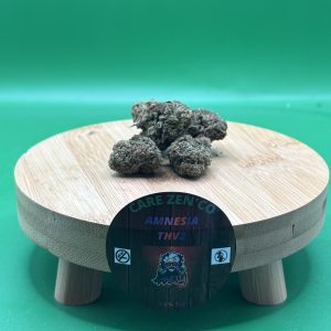 AMNESIA THV2