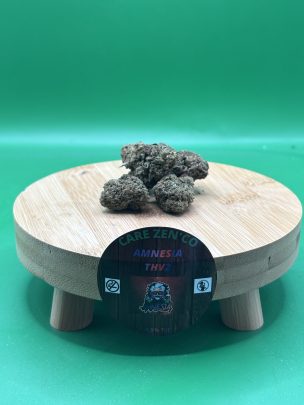 AMNESIA THV2