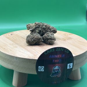AMNESIA THV2