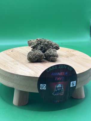 AMNESIA THV2 – Image 2